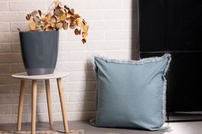 Φωτογραφία από  COTTON CUSHION 60X60 SOLID ROY